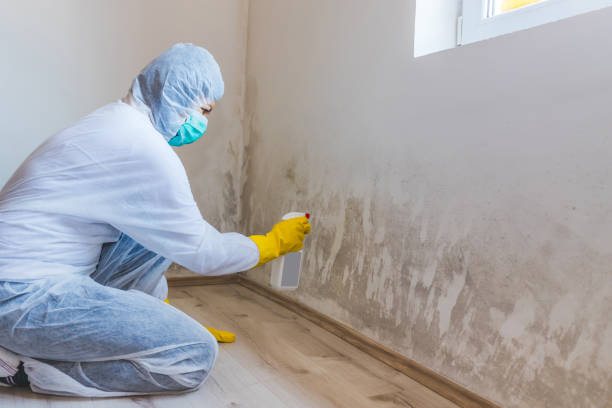Licensed Commercial Mold Remediation service in Topping, VA - WQB Mold Removal