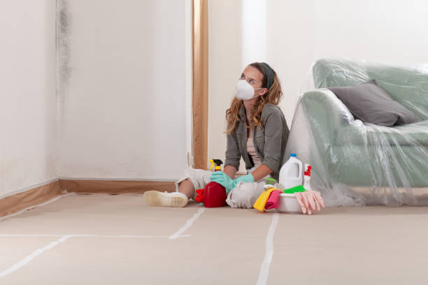 Reliable Commercial Mold Remediation contractor in Topping, VA by WQB Mold Removal