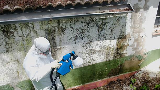 Top rated local Commercial Mold Remediation specialists in Topping, VA